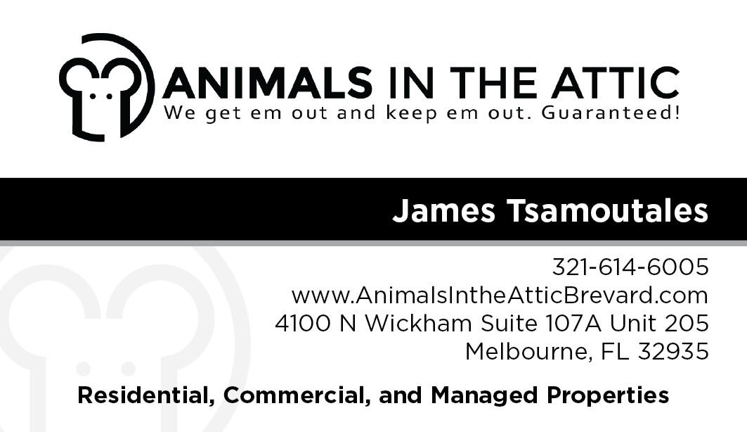 Animals in the Attic logo