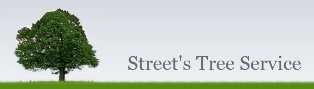 Avatar for Street's Tree Service
