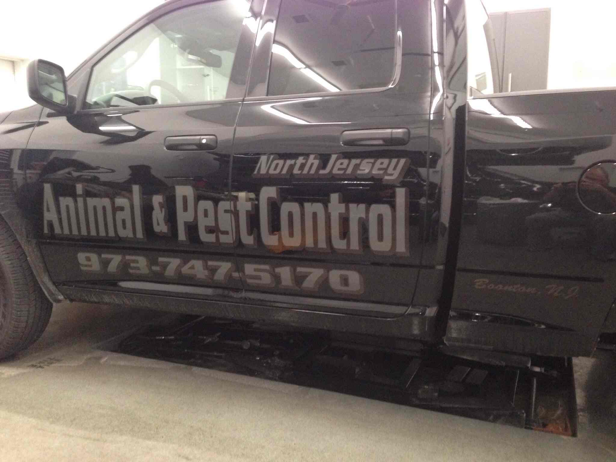 Avatar for North Jersey Animal and Pest Control llc