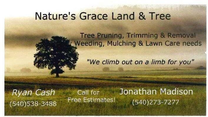Logo for Nature's Grace Land & Tree