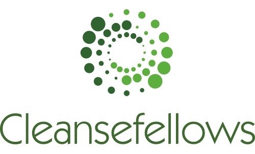 Cleansefellows logo