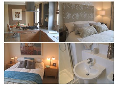 Diamond Shine Cleaning Service logo