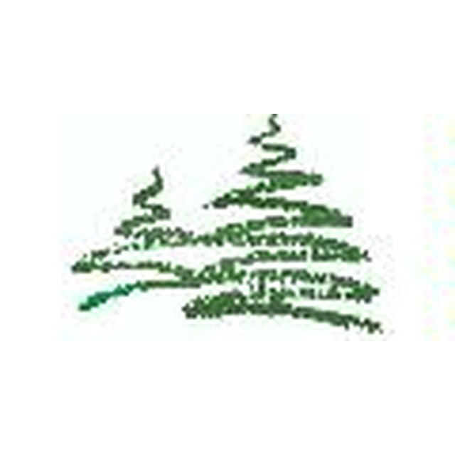 SANTIAM SPRAY SERVICE INC logo