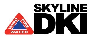 Logo for Skyline DKI