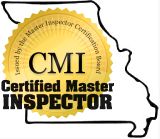 Braun Inspection Consultants logo