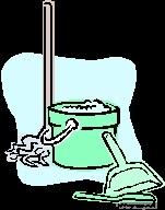 Next Level Cleaning Services logo
