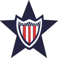 BLUE STAR CONTRACTING NY INC logo