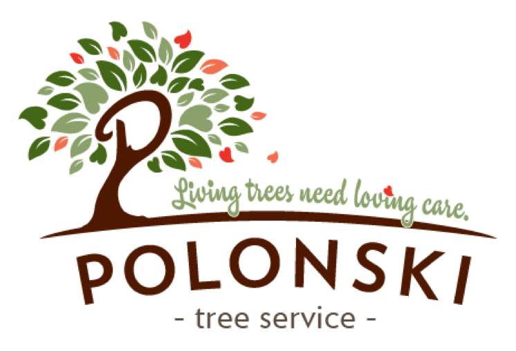 Logo for Polonski Tree Service