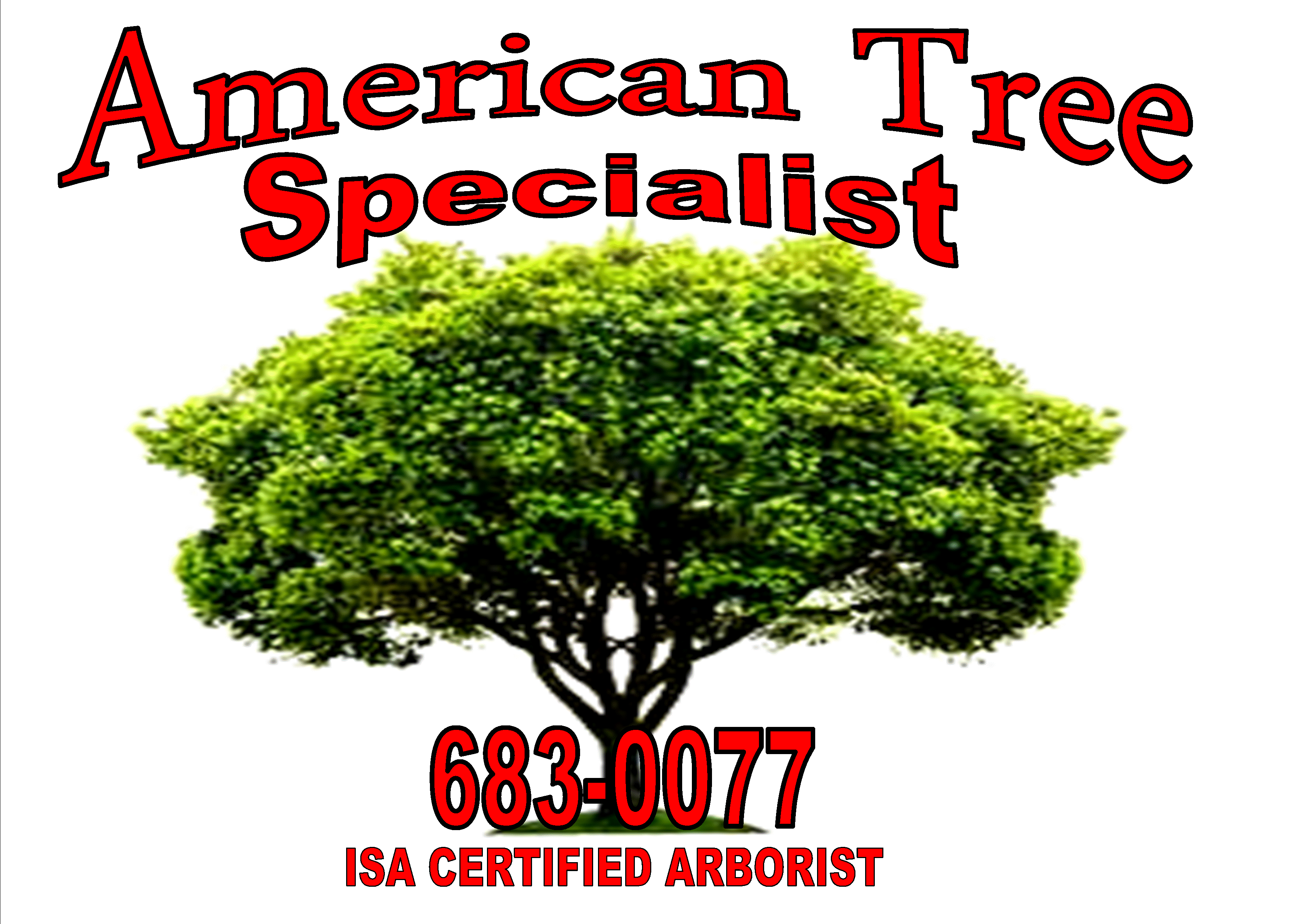 Logo for AMERICAN TREE SPECIALIST