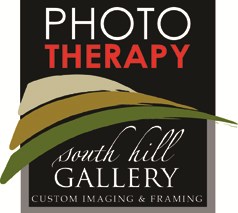 South Hill Gallery Ltd logo