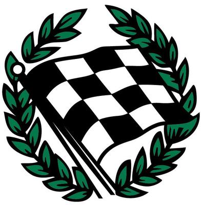 Checkered Flag Hyundai logo