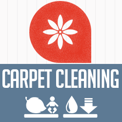Carpet Cleaning Gaithersburg logo