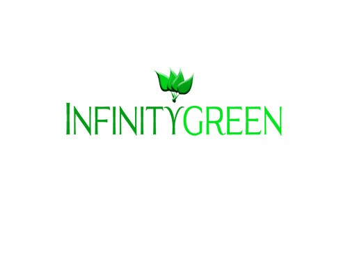 InfinityGreen logo