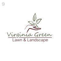 Avatar for Virginia Green Lawn & Landscape