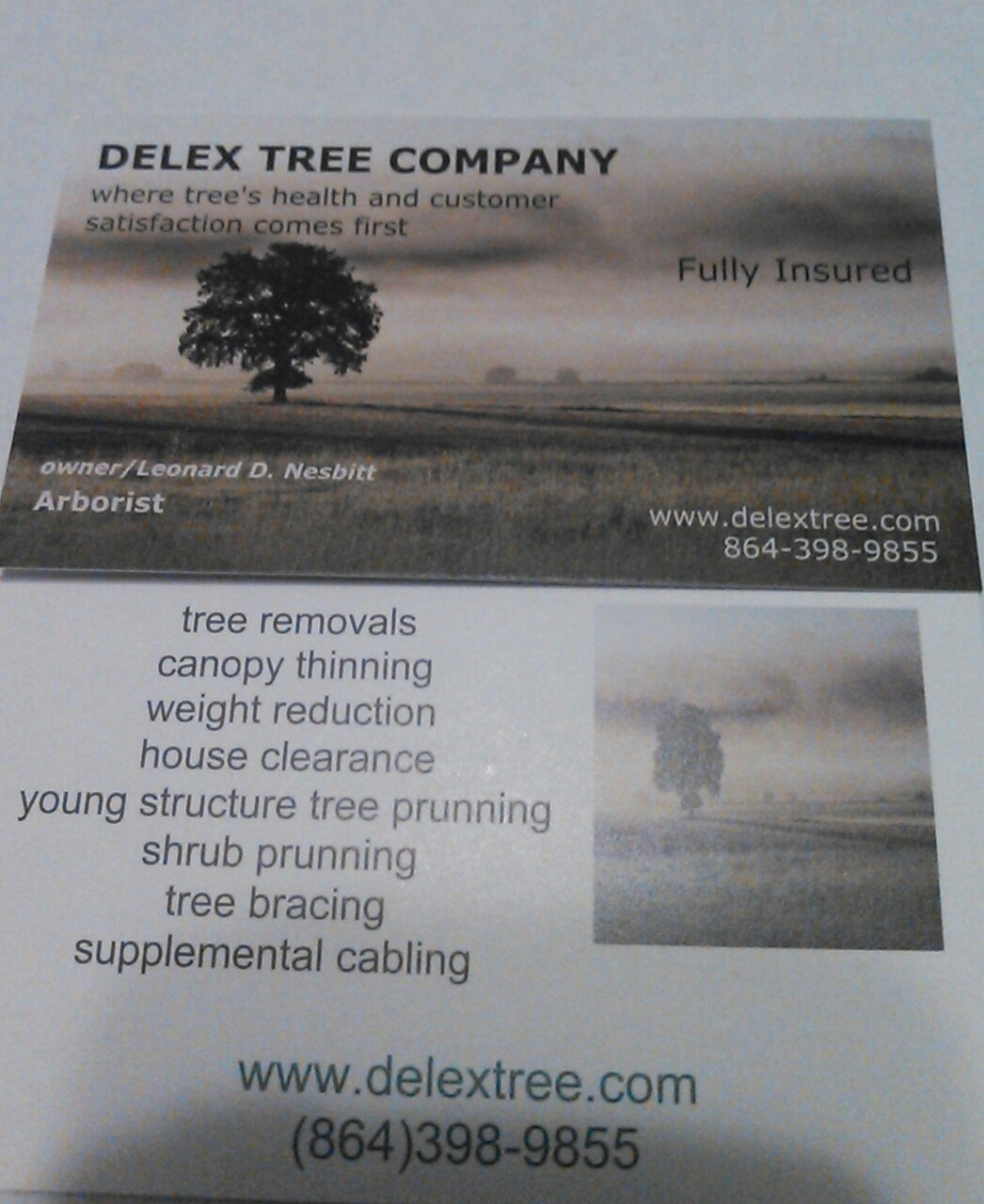Logo for Delex Tree Company