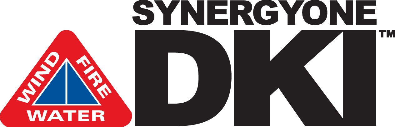 SynergyOne Solutions, Inc. logo