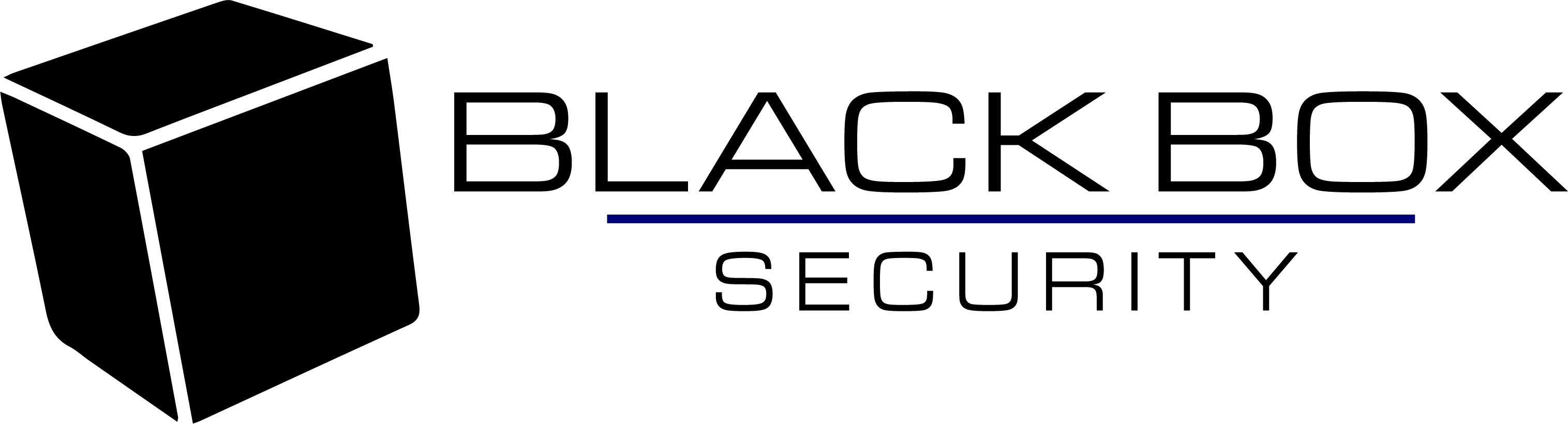 Logo for Black Box Security