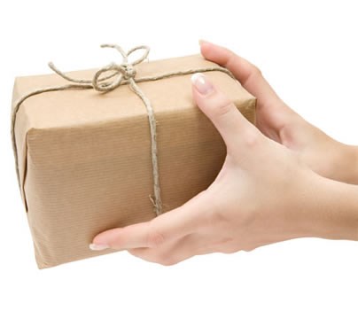 Express Delivery logo