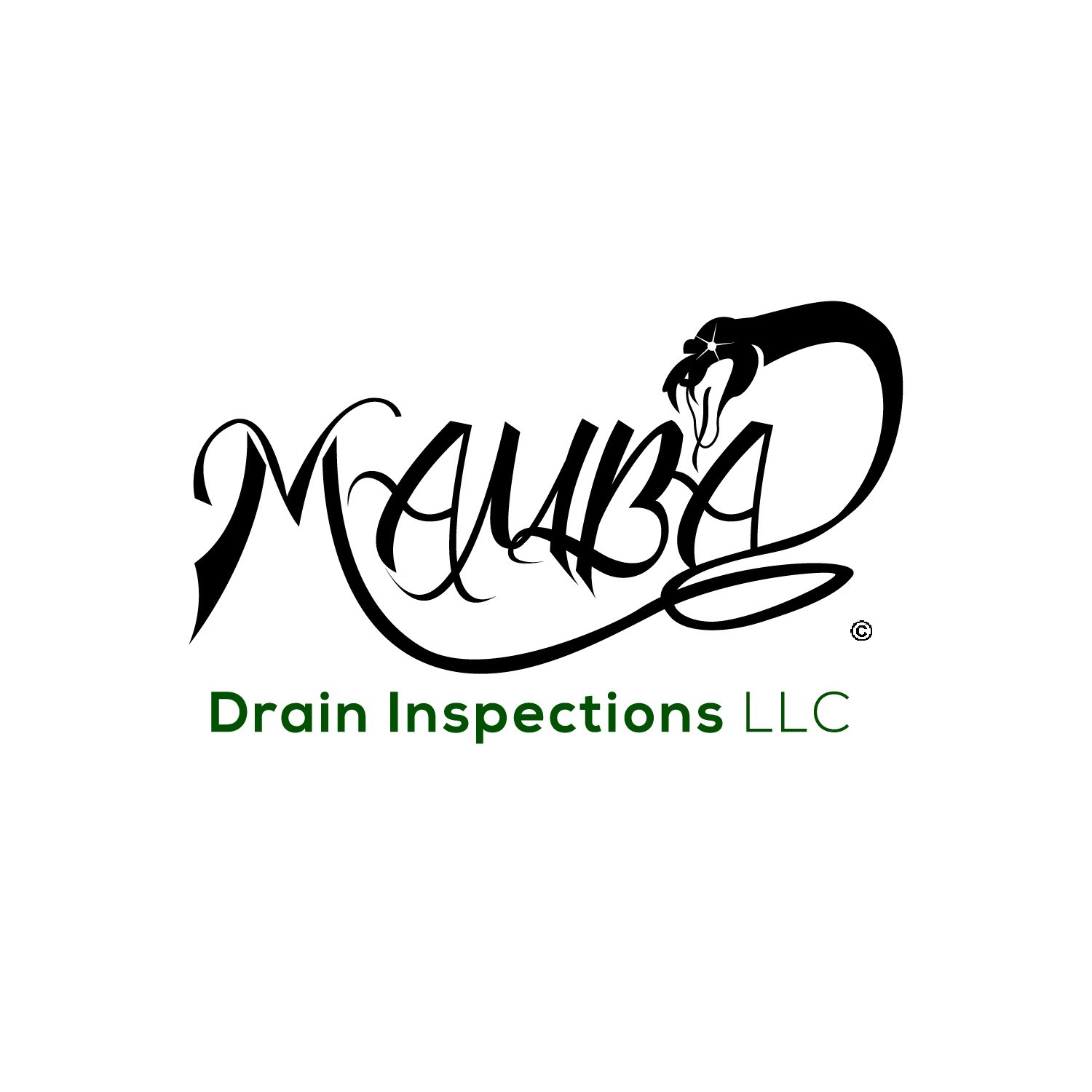 Mamba Drain Inspections LLC logo