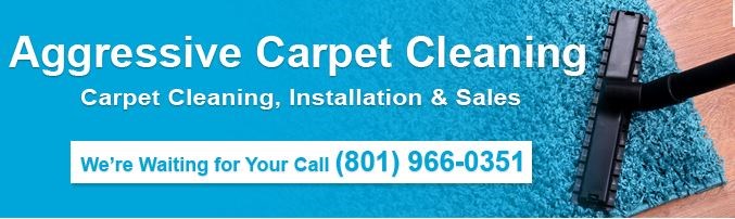 Aggressive Carpet Cleaning logo