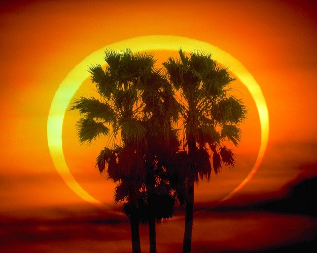 Logo for Eclipse Solar Screens
