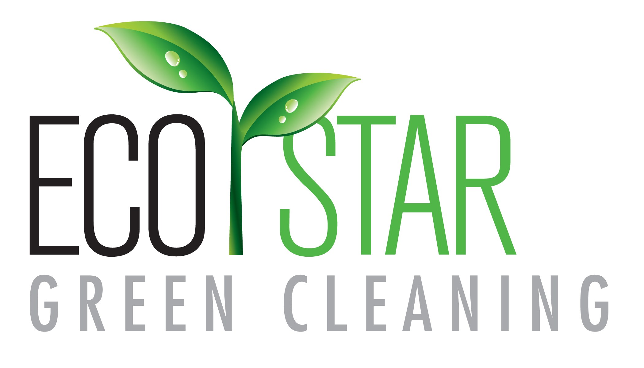 EcoStar Green Cleaning LLC logo