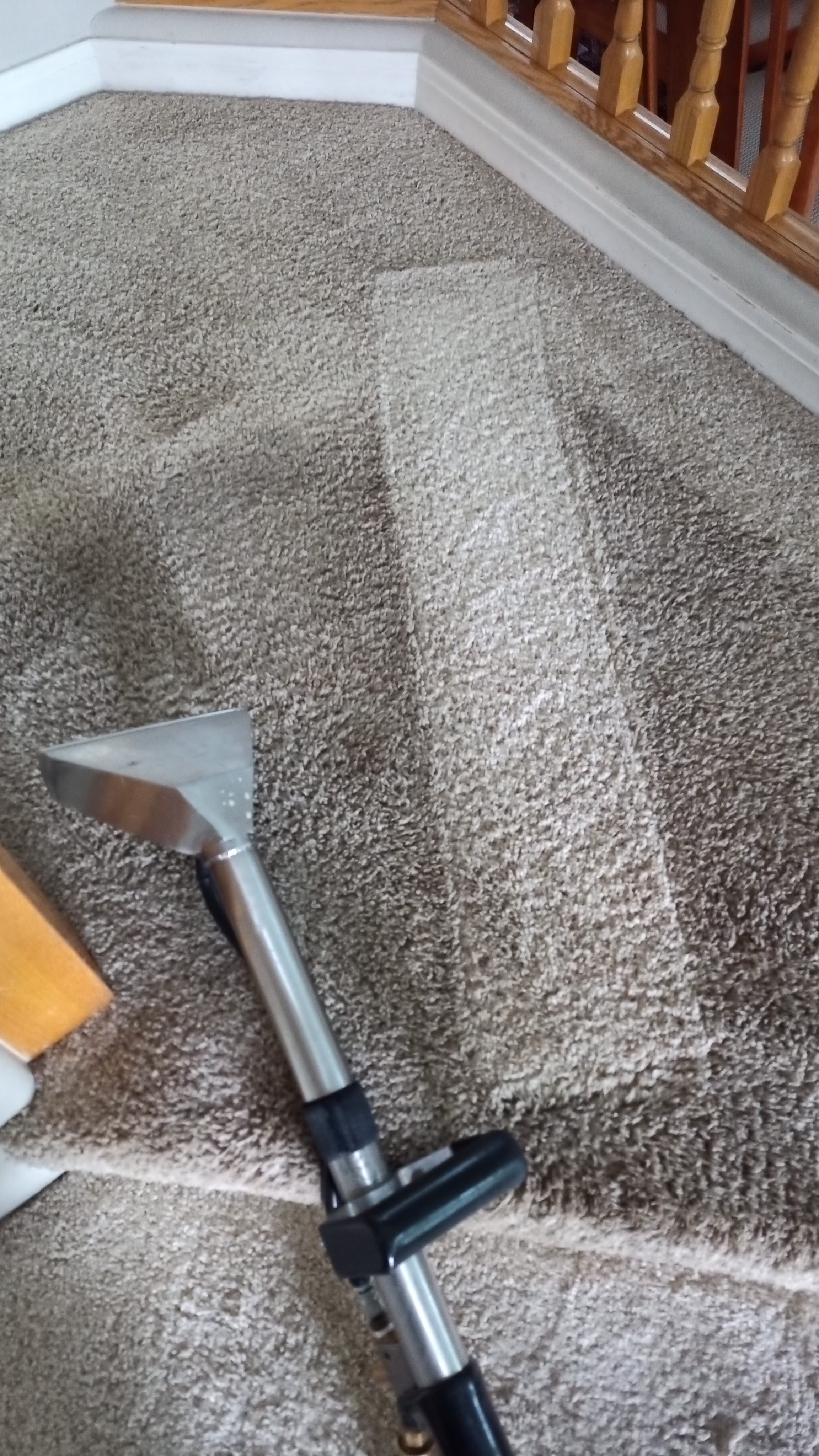Avatar for Rug Rats Carpet Cleaning