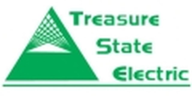 Avatar for Treasure State Electric