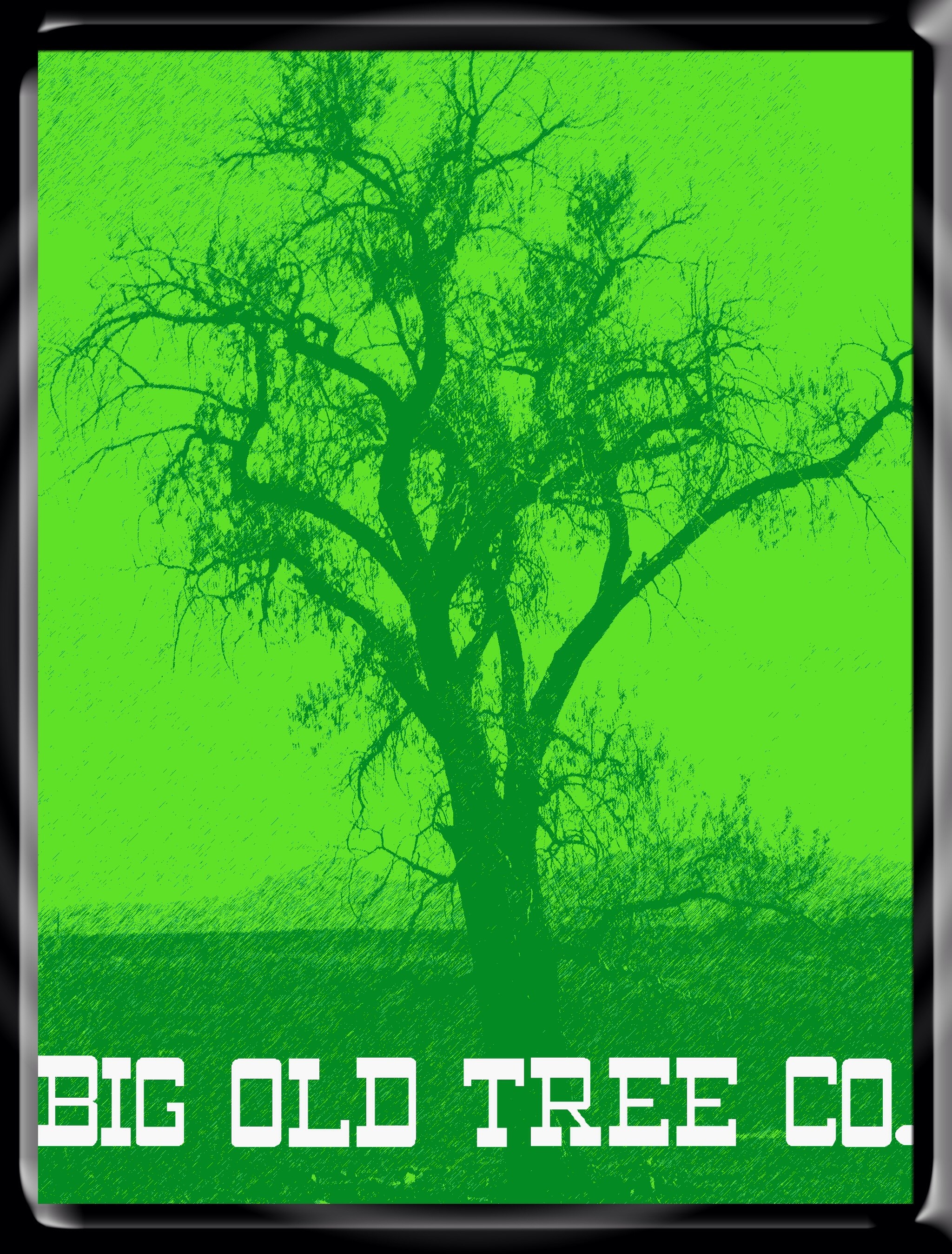The Big Old Tree Company llc logo