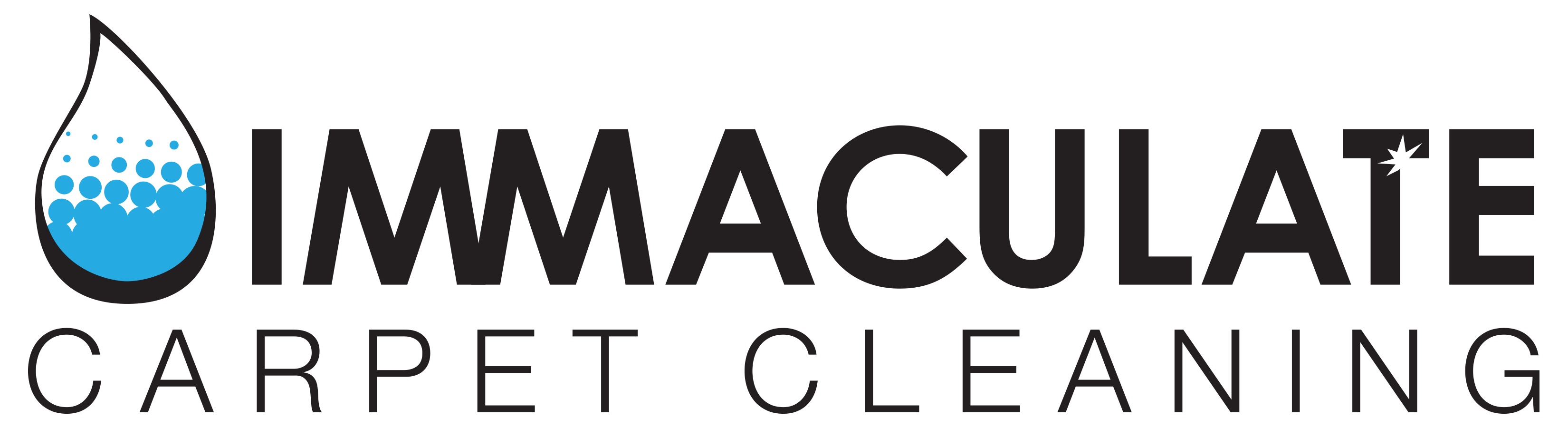 Immaculate Carpet Cleaning logo