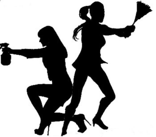 Bozeman Cleaning Services logo