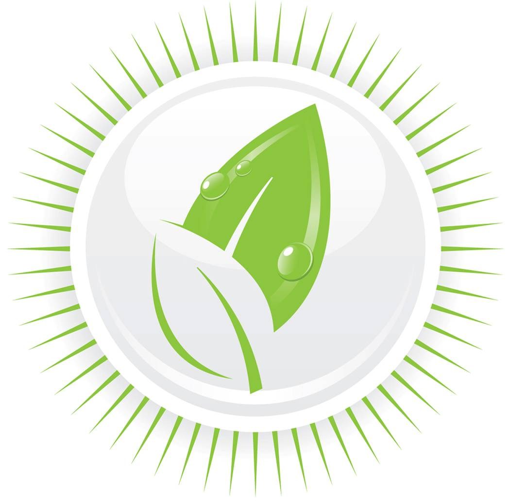 Santa Fe Green Cleaning logo