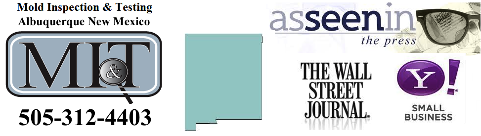 Avatar for Mold Inspection & Testing Albuquerque NM