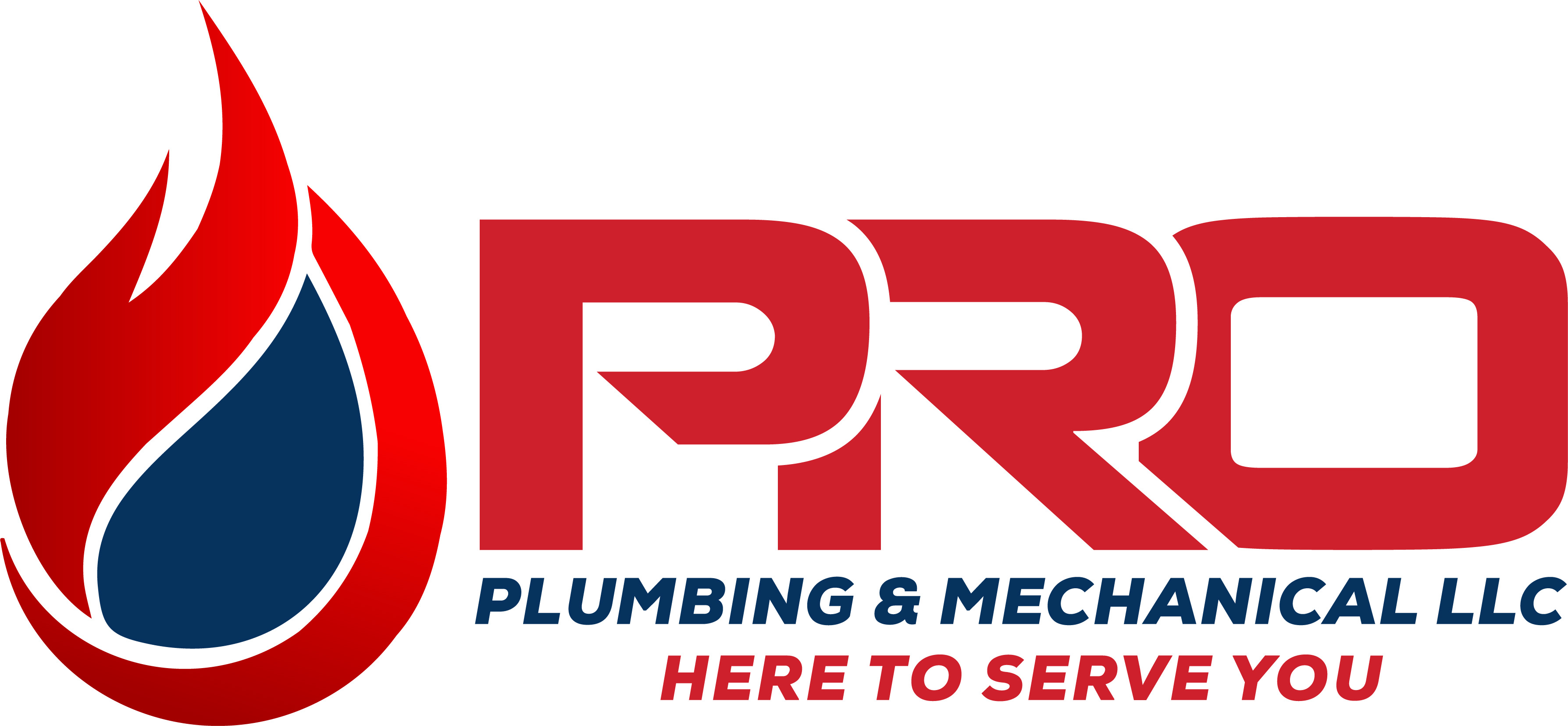 Avatar for Pro Plumbing
