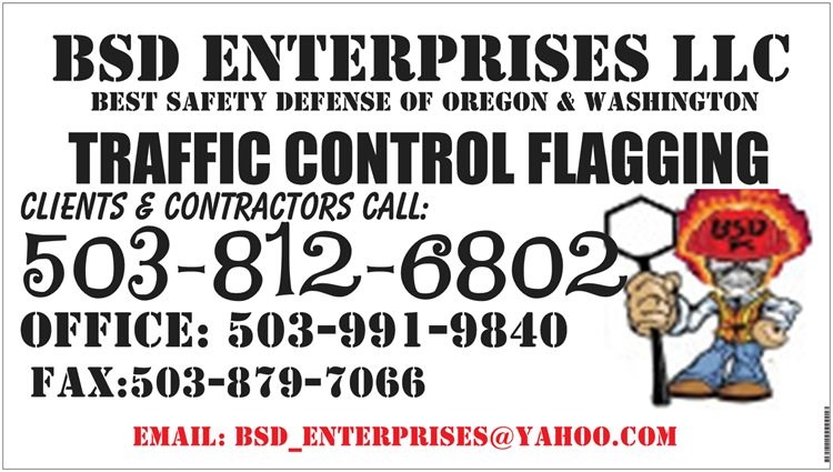 BSD ENTERPRISES logo
