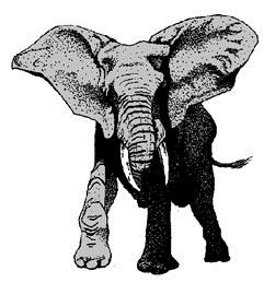 Elephant Builders logo
