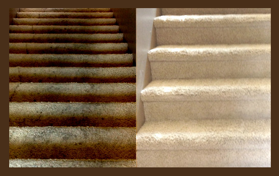 Integrity Carpet Cleaning logo