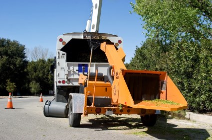 Avatar for Kansas Tree Service