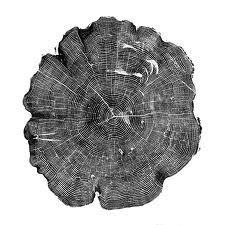 San Marco & French Tree Service, Llc logo