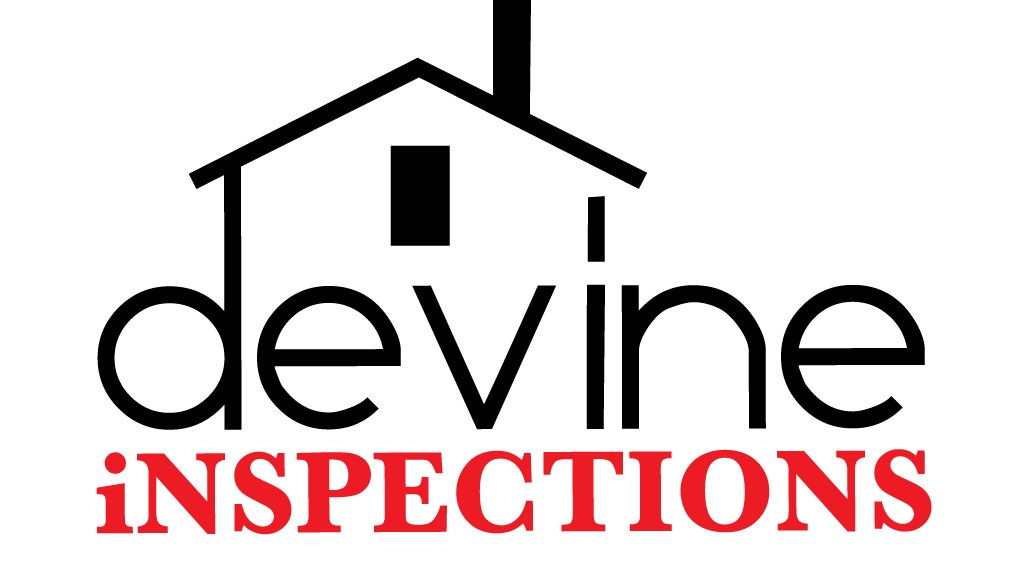 Devine Inspections logo