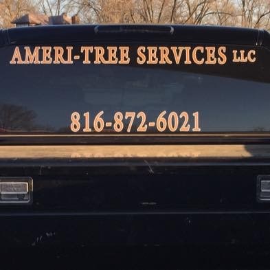 Ameri-Tree Services, LLC logo