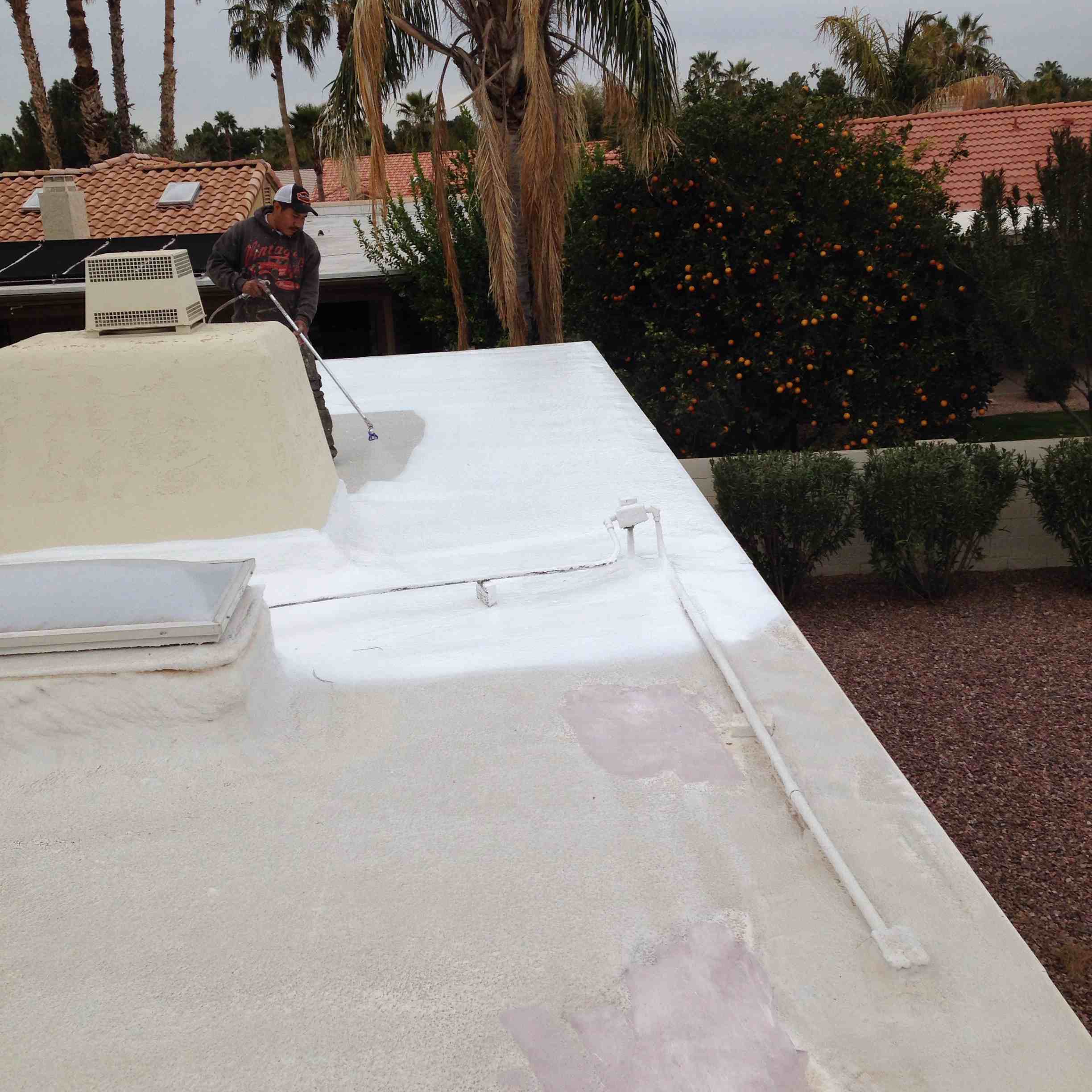 Sun devil painting and roof coatings Llc logo