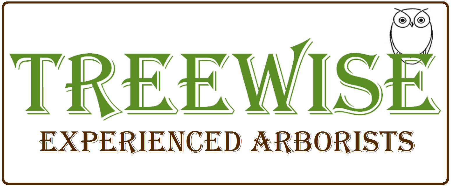 Treewise logo