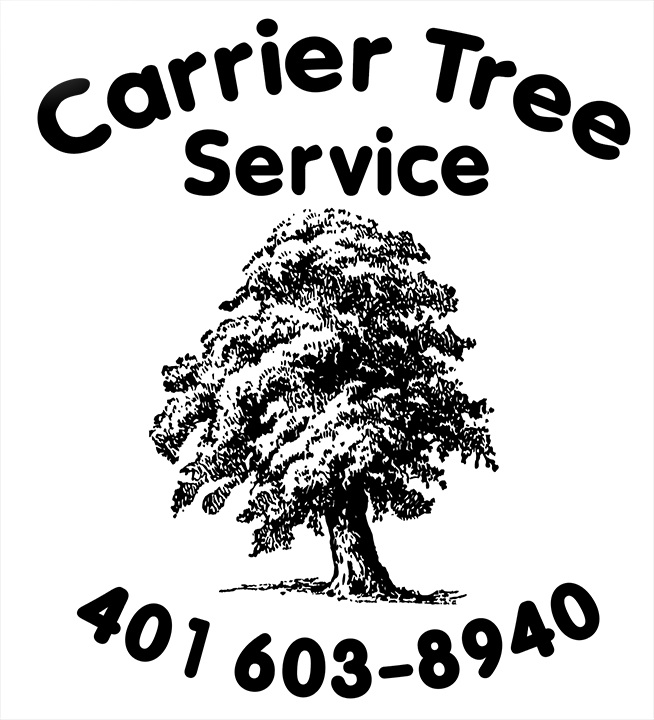 Avatar for CARRIER TREE SERVICE
