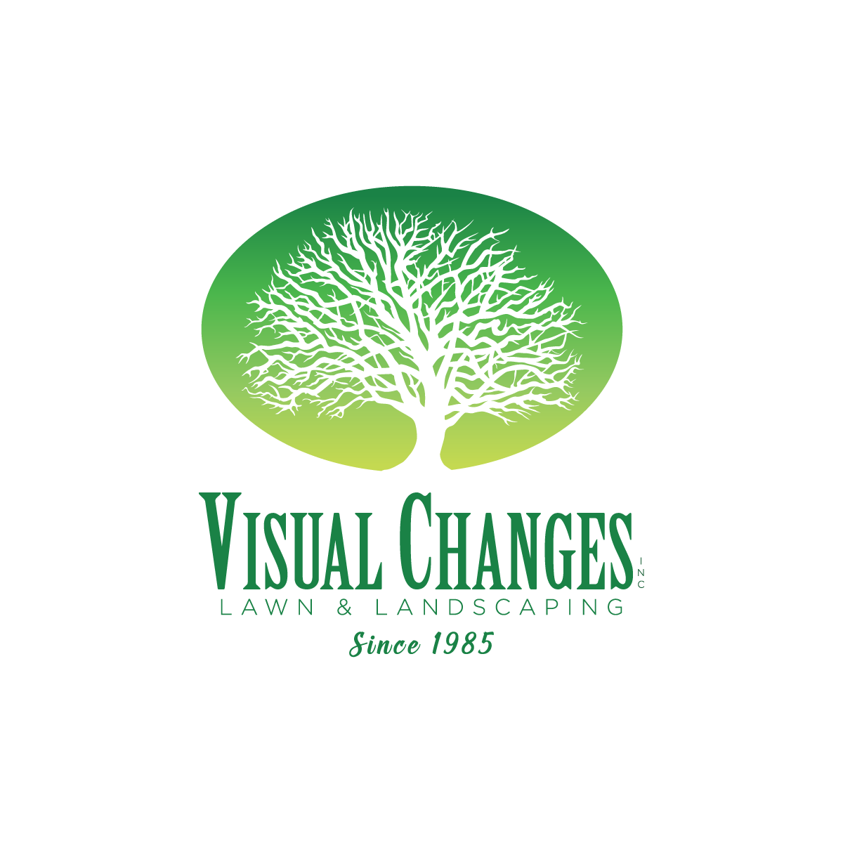 VISUAL CHANGES INC logo