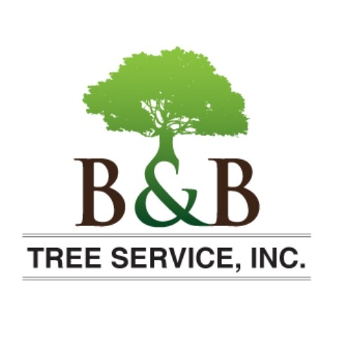 B & B Tree Service, Inc. logo