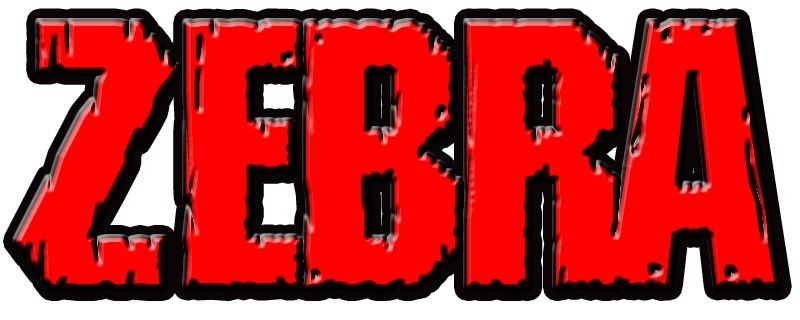 Zebra Computers logo