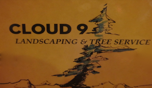 Cloud Nine Landscaping logo