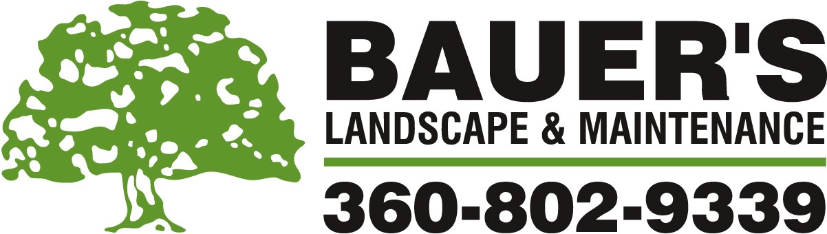 Avatar for Bauer's Landscape & Maintenance