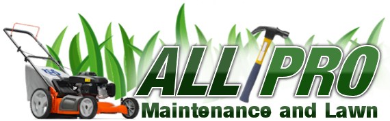 Avatar for All Pro Maintenance & Lawn